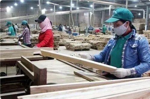 越南前四月木材出口激增23.7